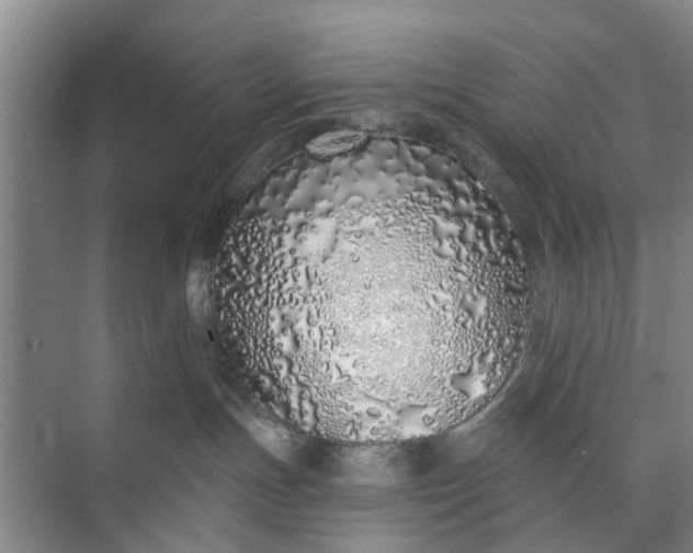 X0000072940191200608041251