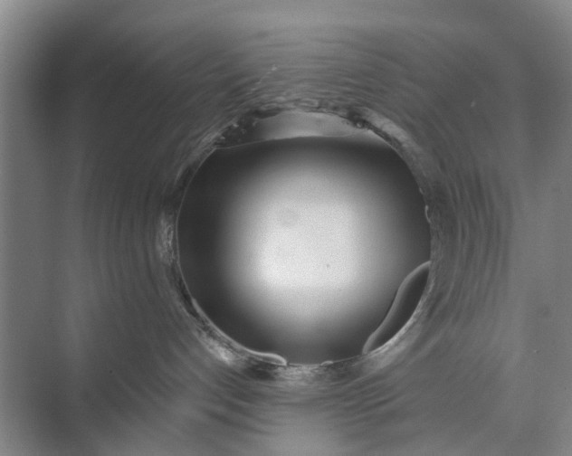 X0000072940192200608041251