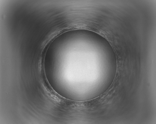 X0000072940194200608041250