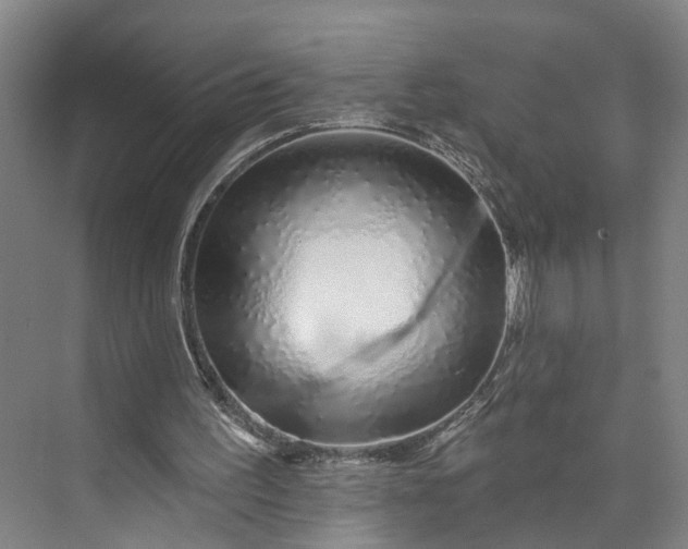 X0000072940195200608041250