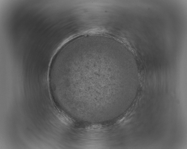 X0000072940196200608041250