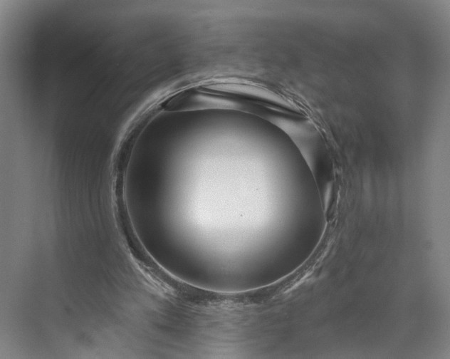 X0000072940197200608041250