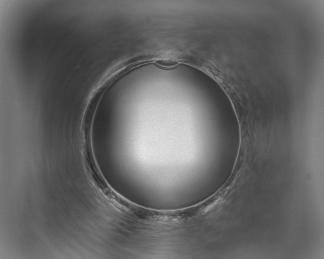 X0000072940198200608041250