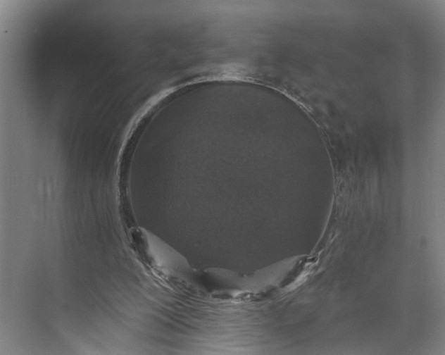 X0000072940200200608041250