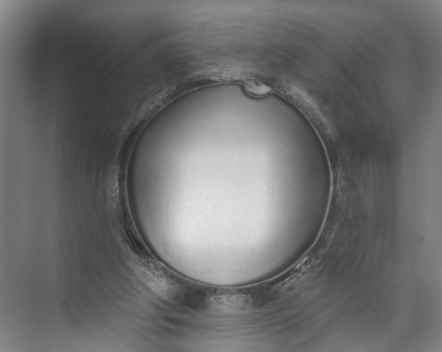 X0000072940202200608041250