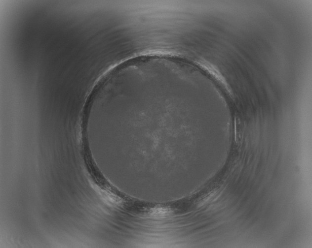 X0000072940204200608041250