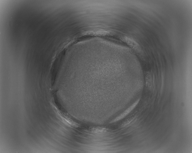 X0000072940206200608041250