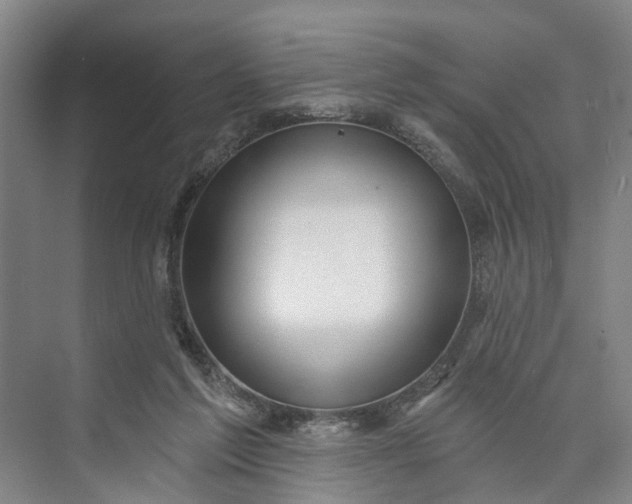 X0000072940213200608041250