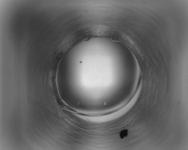 X0000072940217200608041250