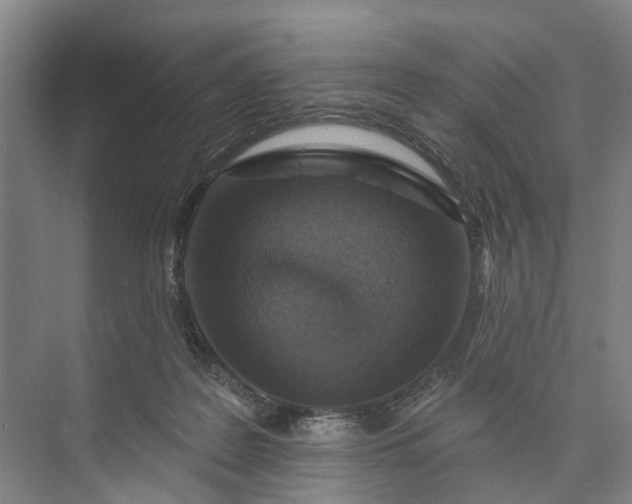 X0000072940219200608041250