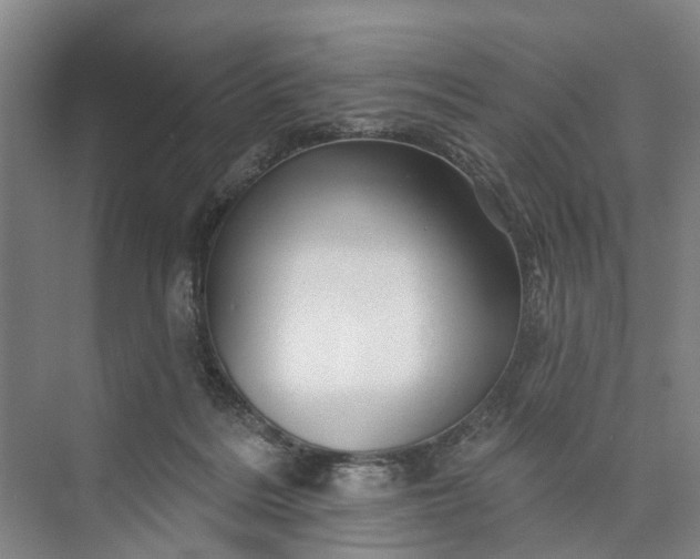 X0000072940220200608041250