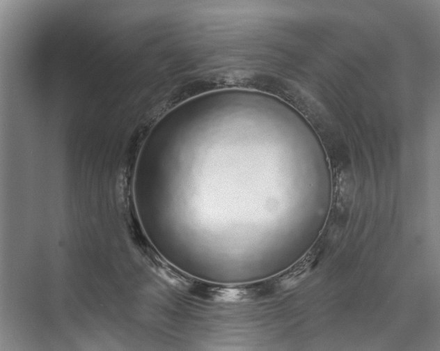 X0000072940222200608041250