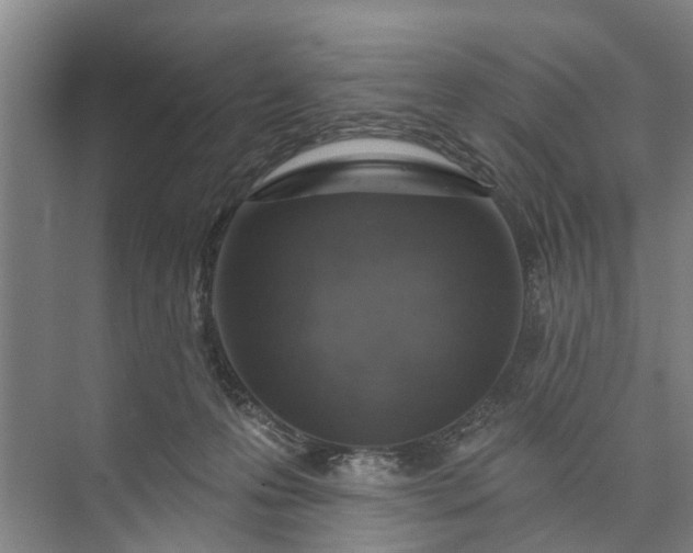 X0000072940223200608041250