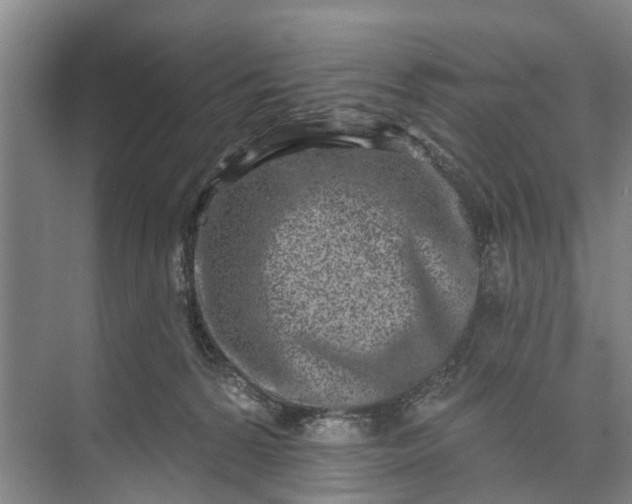 X0000072940224200608041250