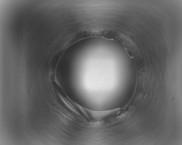 X0000072940225200608041250