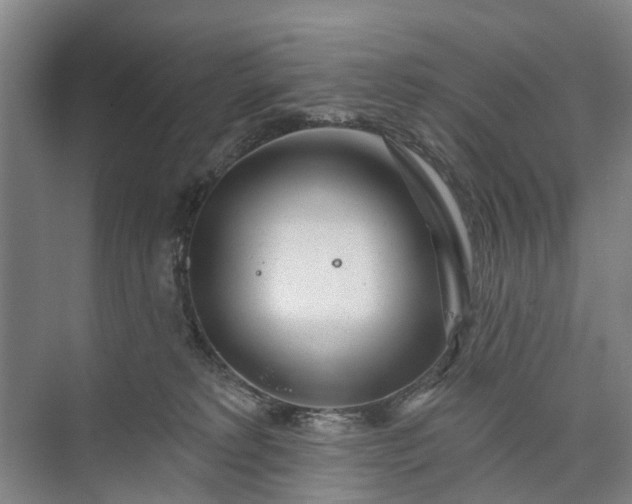 X0000072940229200608041250