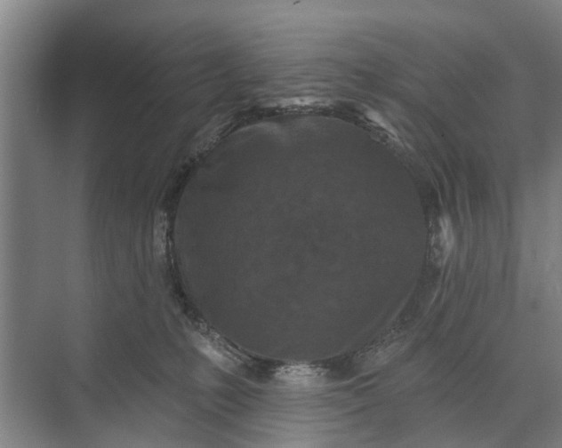 X0000072940231200608041250