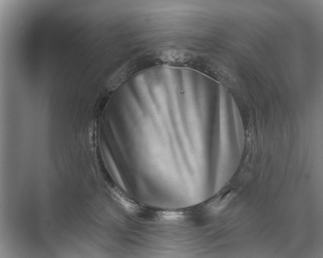 X0000072940233200608041250