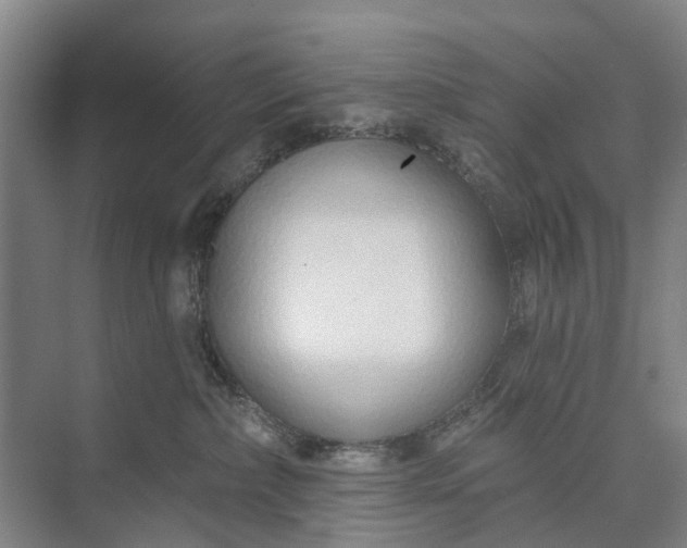 X0000072940236200608041250