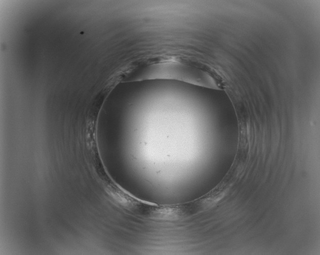 X0000072940237200608041250