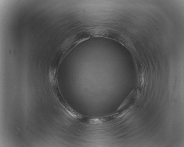 X0000072940239200608041250