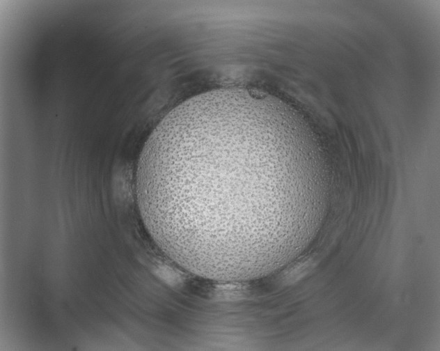 X0000072940240200608041250