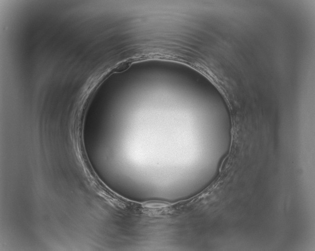 X0000072940241200608041249