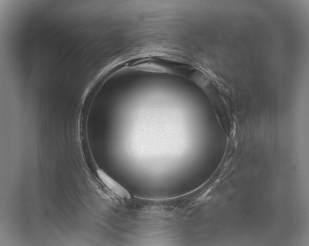 X0000072940244200608041249