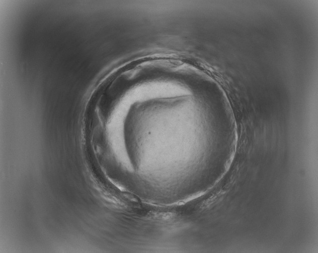 X0000072940247200608041249