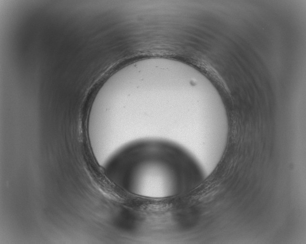 X0000072940251200608041249