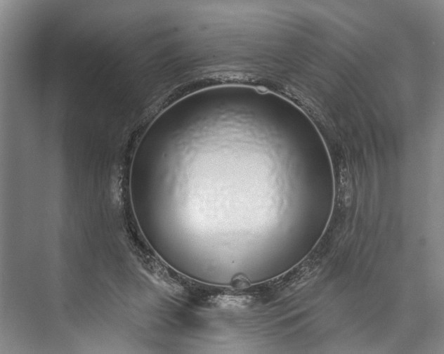 X0000072940255200608041249