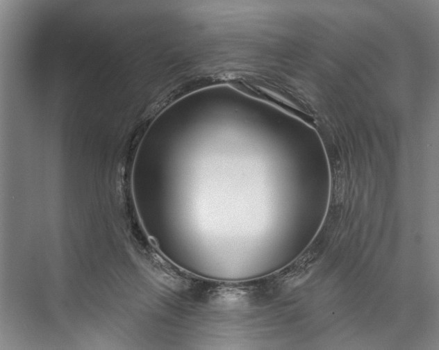 X0000072940263200608041249