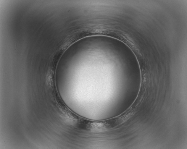 X0000072940265200608041249