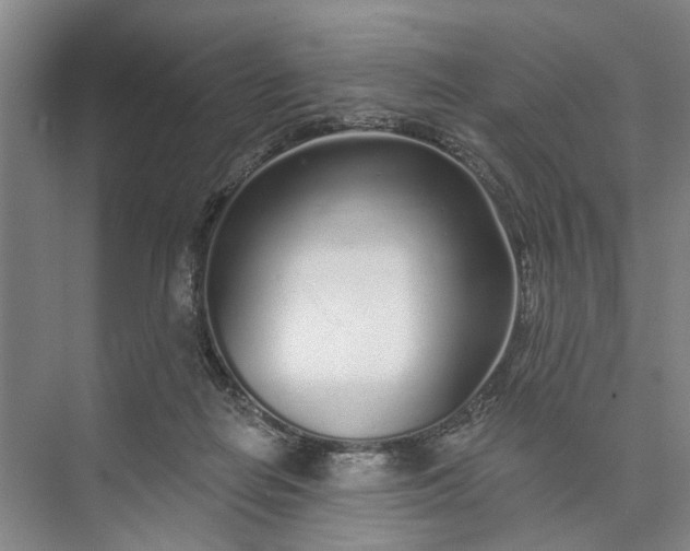 X0000072940266200608041249