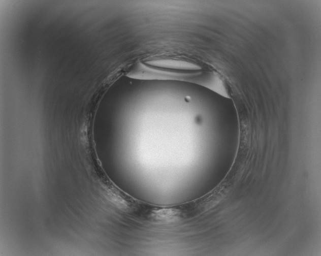 X0000072940269200608041249