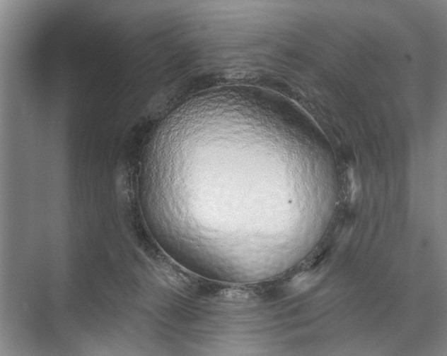 X0000072940272200608041249