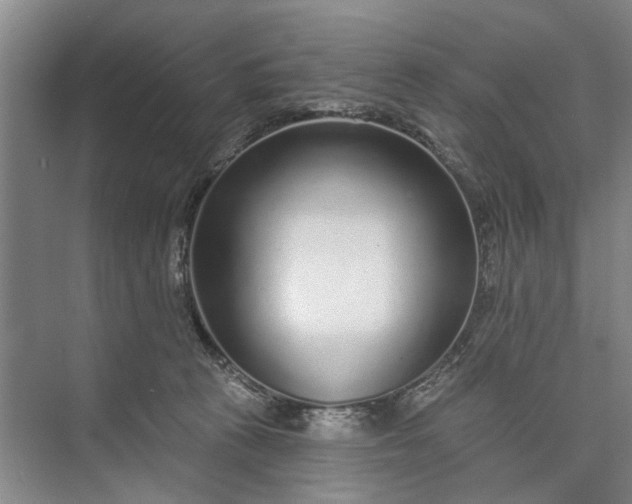 X0000072940273200608041249