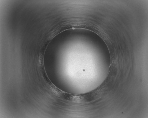 X0000072940277200608041250