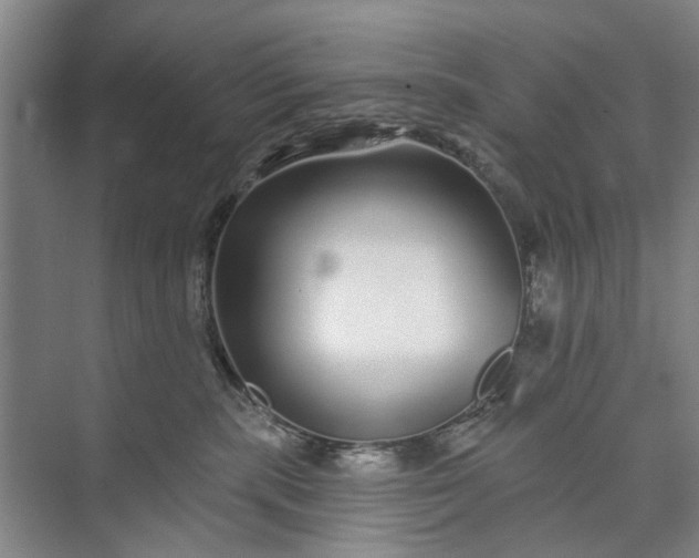 X0000072940283200608041250