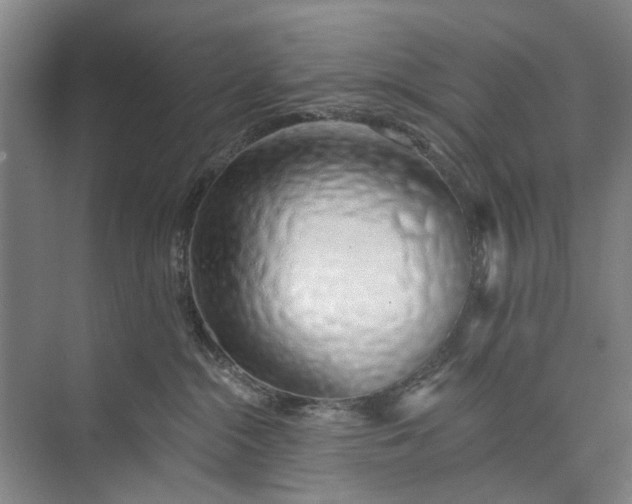 X0000072940284200608041250