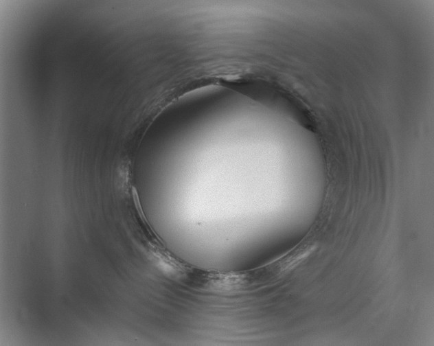 X0000072940288200608041250