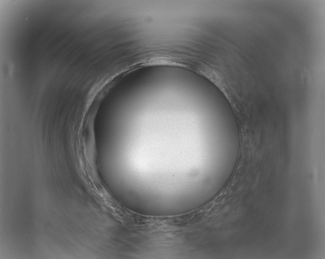 X0000072940289200608041249