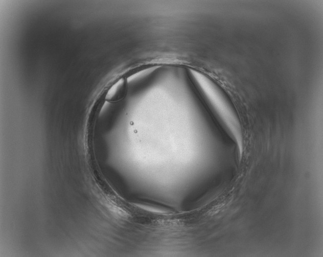 X0000072940296200608041249