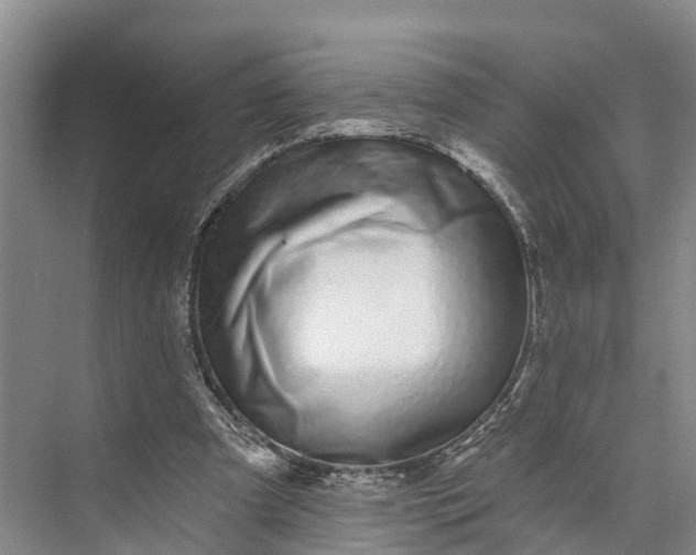 X0000072940297200608041249