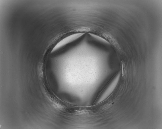 X0000072940300200608041249