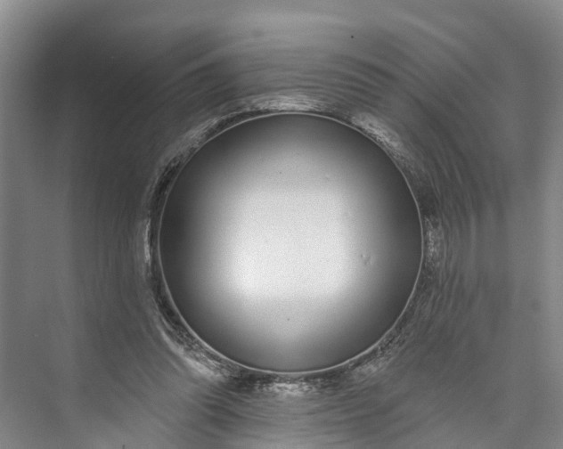 X0000072940302200608041249