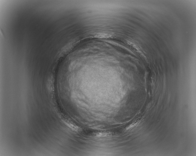 X0000072940303200608041249