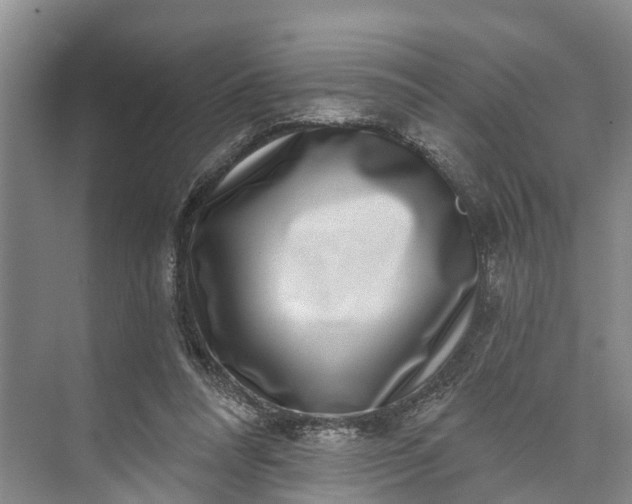 X0000072940304200608041249