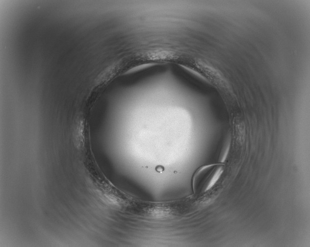 X0000072940308200608041249