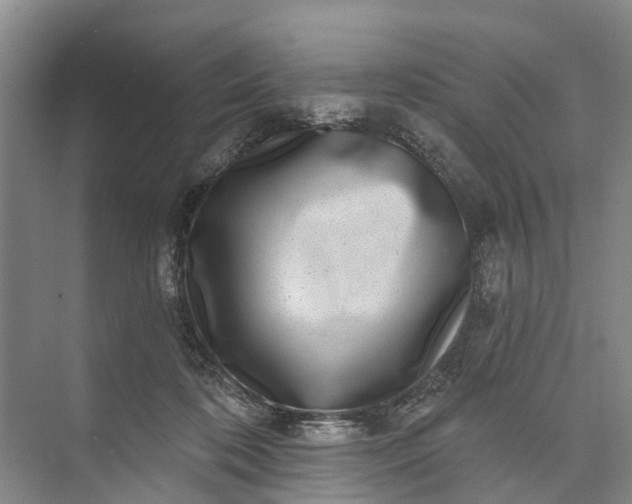 X0000072940316200608041248